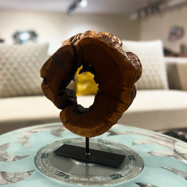 Organic Hollow Form Decor